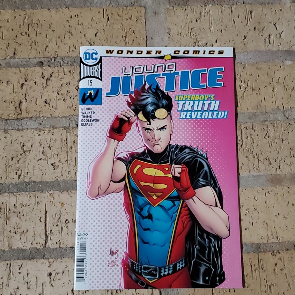 Young Justice # 15